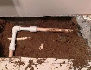 洮南测漏水哪家好