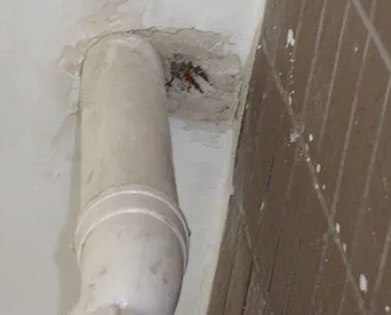 洮南漏水检测哪家好